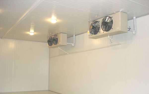 冷庫是否可以起到殺菌消毒的作用？